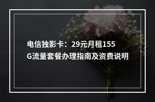 电信独影卡：29元月租155G流量套餐办理指南及资费说明