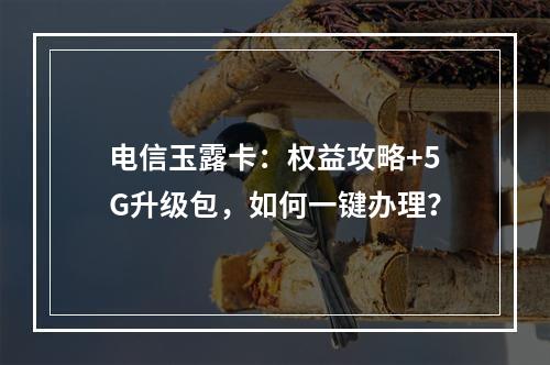 电信玉露卡：权益攻略+5G升级包，如何一键办理？