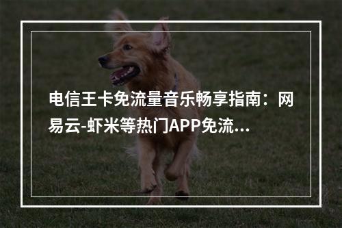 电信王卡免流量音乐畅享指南：网易云-虾米等热门APP免流范围