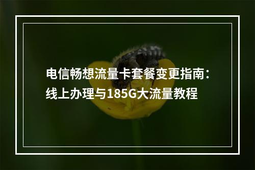 电信畅想流量卡套餐变更指南：线上办理与185G大流量教程