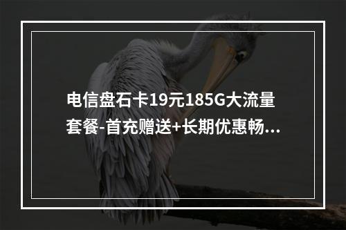 电信盘石卡19元185G大流量套餐-首充赠送+长期优惠畅享