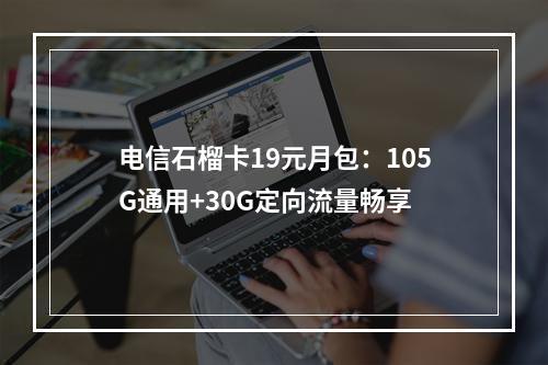 电信石榴卡19元月包：105G通用+30G定向流量畅享