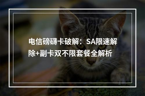 电信磅礴卡破解：SA限速解除+副卡双不限套餐全解析
