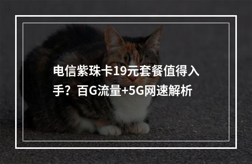 电信紫珠卡19元套餐值得入手？百G流量+5G网速解析