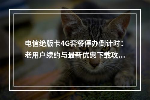 电信绝版卡4G套餐停办倒计时：老用户续约与最新优惠下载攻略