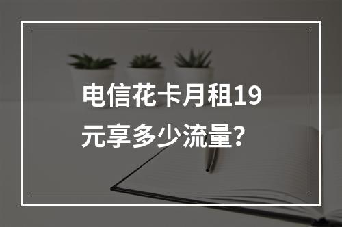 电信花卡月租19元享多少流量？