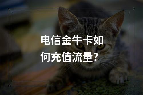 电信金牛卡如何充值流量？