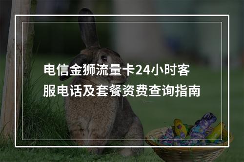 电信金狮流量卡24小时客服电话及套餐资费查询指南