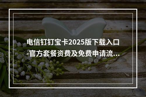 电信钉钉宝卡2025版下载入口-官方套餐资费及免费申请流程