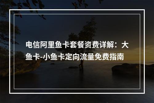 电信阿里鱼卡套餐资费详解：大鱼卡-小鱼卡定向流量免费指南