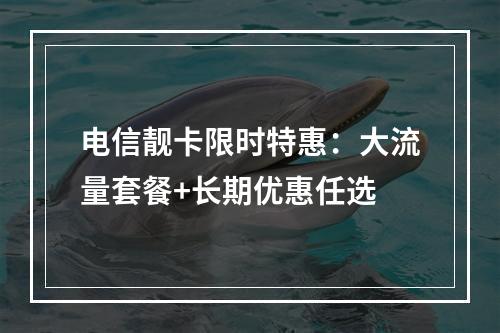 电信靓卡限时特惠：大流量套餐+长期优惠任选