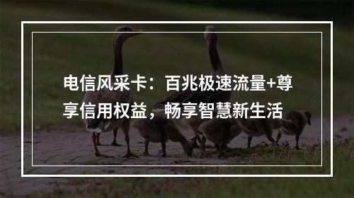 电信风采卡：百兆极速流量+尊享信用权益，畅享智慧新生活