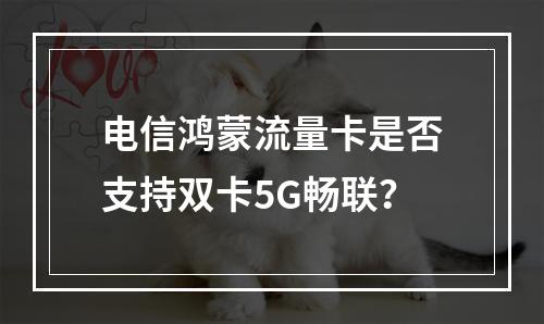 电信鸿蒙流量卡是否支持双卡5G畅联？