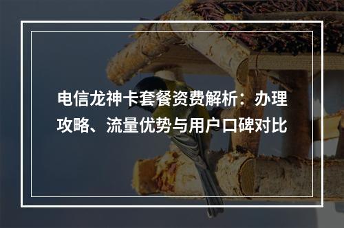 电信龙神卡套餐资费解析：办理攻略、流量优势与用户口碑对比