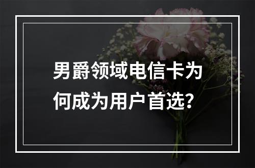 男爵领域电信卡为何成为用户首选？