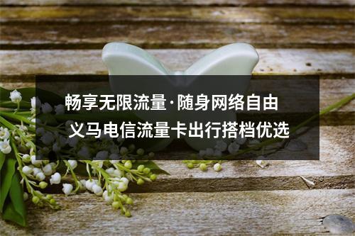 畅享无限流量·随身网络自由  义马电信流量卡出行搭档优选