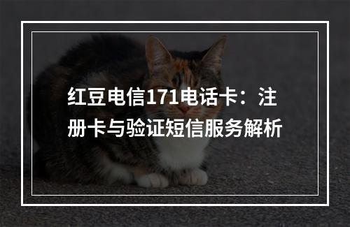 红豆电信171电话卡：注册卡与验证短信服务解析