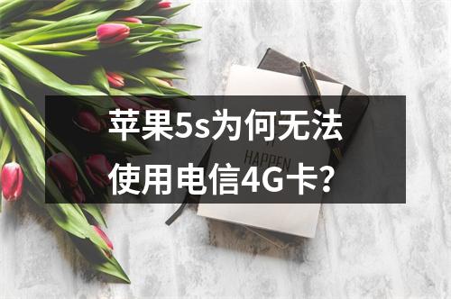 苹果5s为何无法使用电信4G卡？