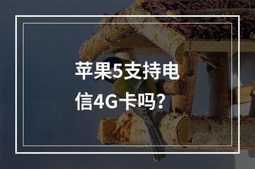 苹果5支持电信4G卡吗？