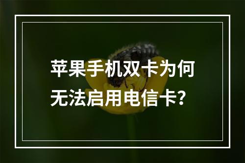 苹果手机双卡为何无法启用电信卡？