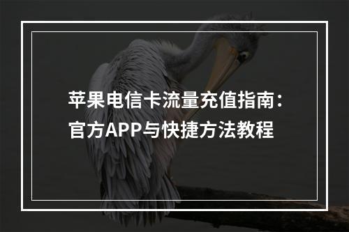 苹果电信卡流量充值指南：官方APP与快捷方法教程