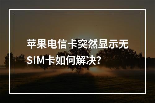 苹果电信卡突然显示无SIM卡如何解决？