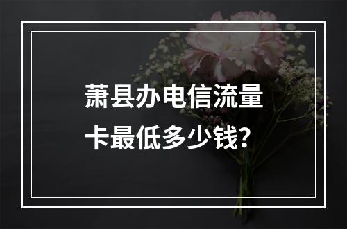 萧县办电信流量卡最低多少钱？