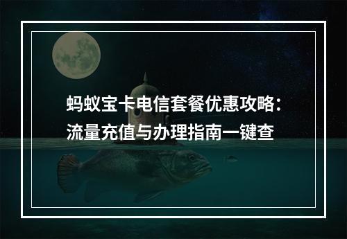 蚂蚁宝卡电信套餐优惠攻略：流量充值与办理指南一键查
