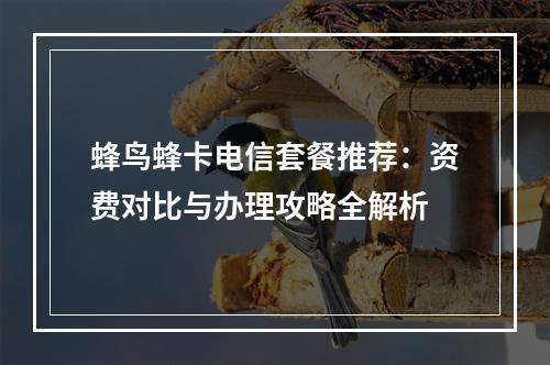 蜂鸟蜂卡电信套餐推荐：资费对比与办理攻略全解析