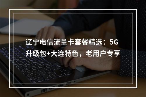 辽宁电信流量卡套餐精选：5G升级包+大连特色，老用户专享
