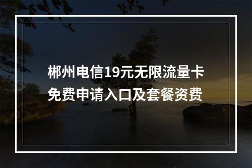 郴州电信19元无限流量卡免费申请入口及套餐资费