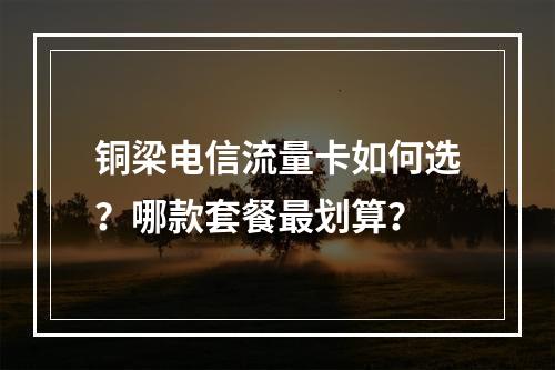 铜梁电信流量卡如何选？哪款套餐最划算？