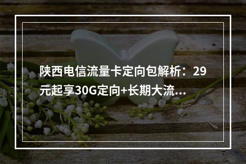 陕西电信流量卡定向包解析：29元起享30G定向+长期大流量套餐
