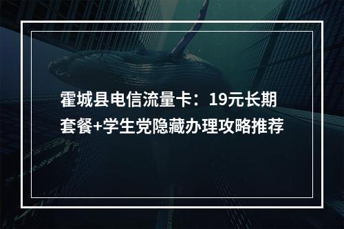 霍城县电信流量卡：19元长期套餐+学生党隐藏办理攻略推荐