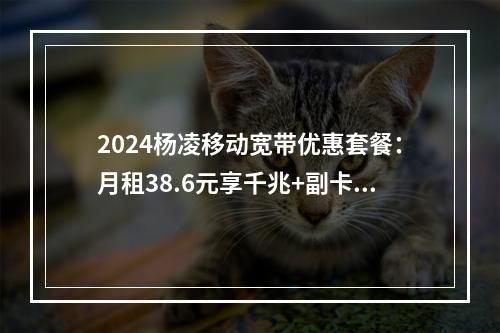 2024杨凌移动宽带优惠套餐：月租38.6元享千兆+副卡免费