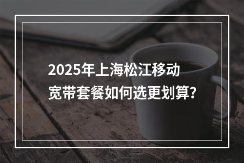 2025年上海松江移动宽带套餐如何选更划算？