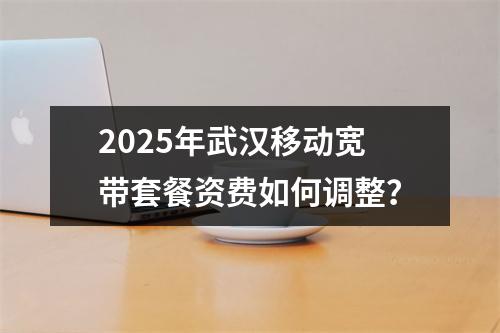 2025年武汉移动宽带套餐资费如何调整？