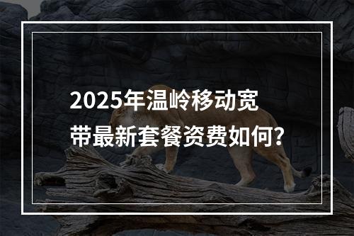2025年温岭移动宽带最新套餐资费如何？