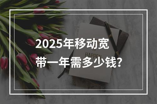 2025年移动宽带一年需多少钱？