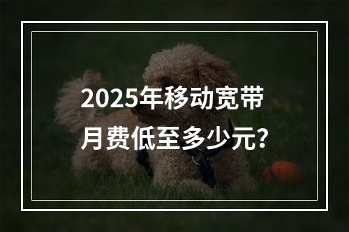 2025年移动宽带月费低至多少元？