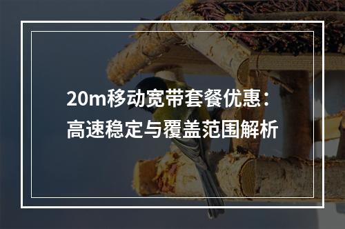20m移动宽带套餐优惠：高速稳定与覆盖范围解析