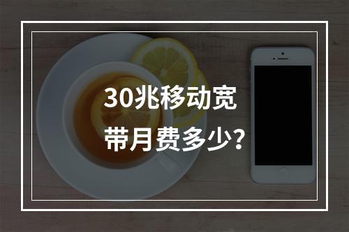 30兆移动宽带月费多少？