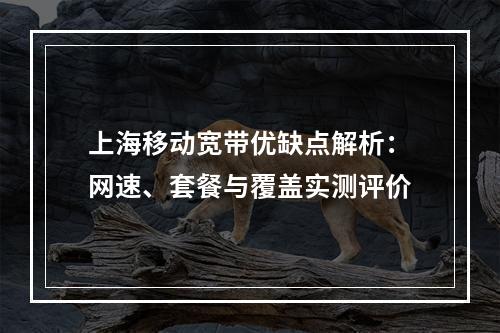 上海移动宽带优缺点解析：网速、套餐与覆盖实测评价