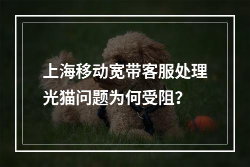 上海移动宽带客服处理光猫问题为何受阻？