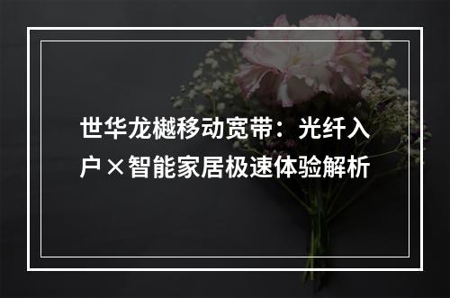 世华龙樾移动宽带：光纤入户×智能家居极速体验解析