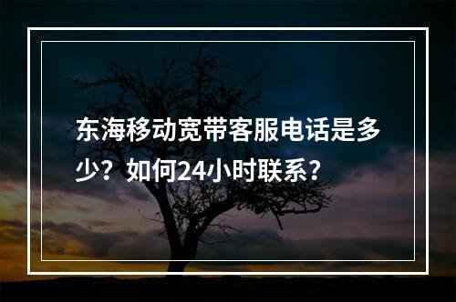 东海移动宽带客服电话是多少？如何24小时联系？