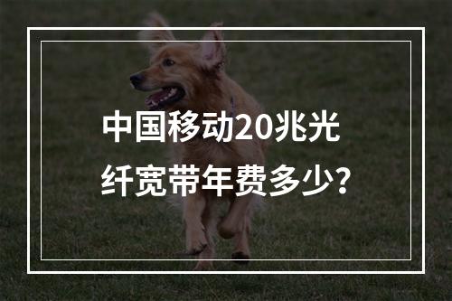 中国移动20兆光纤宽带年费多少？