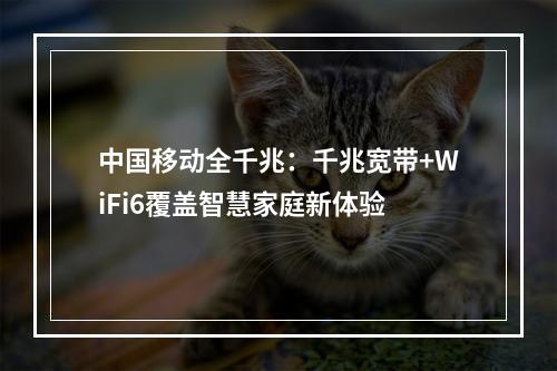 中国移动全千兆：千兆宽带+WiFi6覆盖智慧家庭新体验