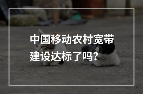 中国移动农村宽带建设达标了吗？