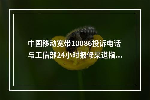 中国移动宽带10086投诉电话与工信部24小时报修渠道指南